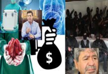 Vendían Órganos de Niños en EU, EGIDIO y ‘Gobernadores’