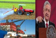 Government to Reopen Branches of The Economy