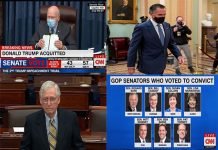 Republican Senators Accomplices of TRUMP
