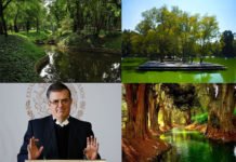 Firma Pacto México, en Defensa de Los Bosques