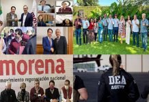 Is AMERICO in The Crime of Mafia?