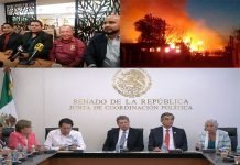 Denuncian a CABEZA DE VACA, en el Senado