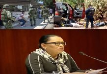 Asunto de Estado: La Construcción de la Paz