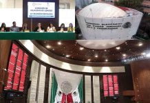 Diputados Verán Reforma Del TEPJF