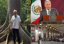 La “Mañanera” Seguirá Dice AMLO