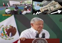 “Remesas”: Principal -Ingreso- de México