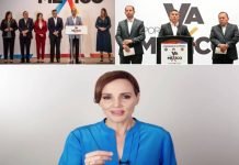 Rechaza Lilly -Competir- en “Va Por México”