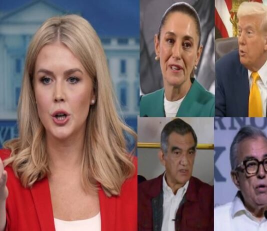 Is SHEINBAUM Covering up For Narco-Governor BEDOYA?