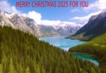 The Most -Wonderful- Time For You