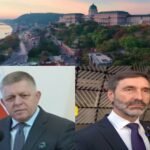 Energetic Suicide of The European Union: FICO