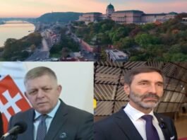 Energetic Suicide of The European Union: FICO