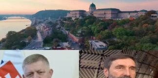 Energetic Suicide of The European Union: FICO