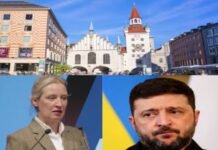 The West Should Not Support ZELENSKI: ALICE