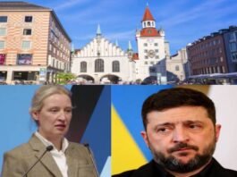 The West Should Not Support ZELENSKI: ALICE