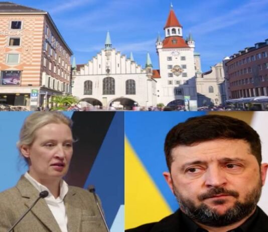 The West Should Not Support ZELENSKI: ALICE